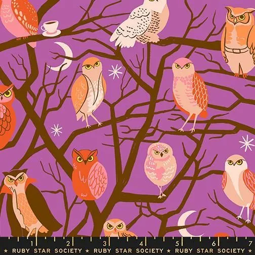 Freaky Familiars RS5190 11 Witchy Ruby Star Half Yard