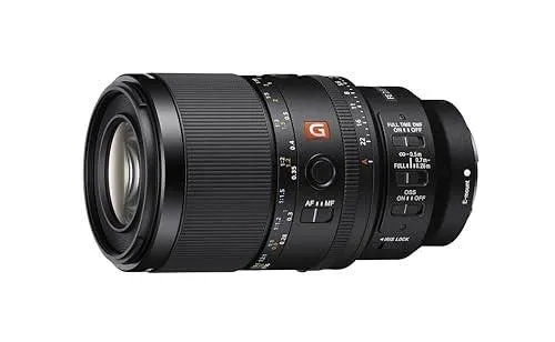 SONY SEL100M28GM Interchangeable Lens Camera