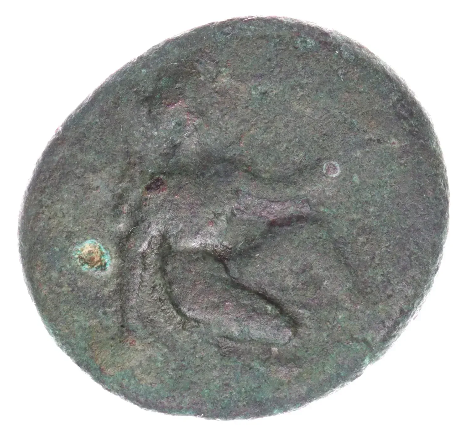 front