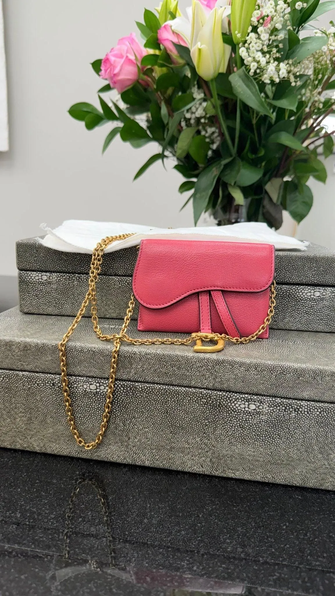 Christian Dior Dusty Pink Leather Nano Saddle Chain Pouch