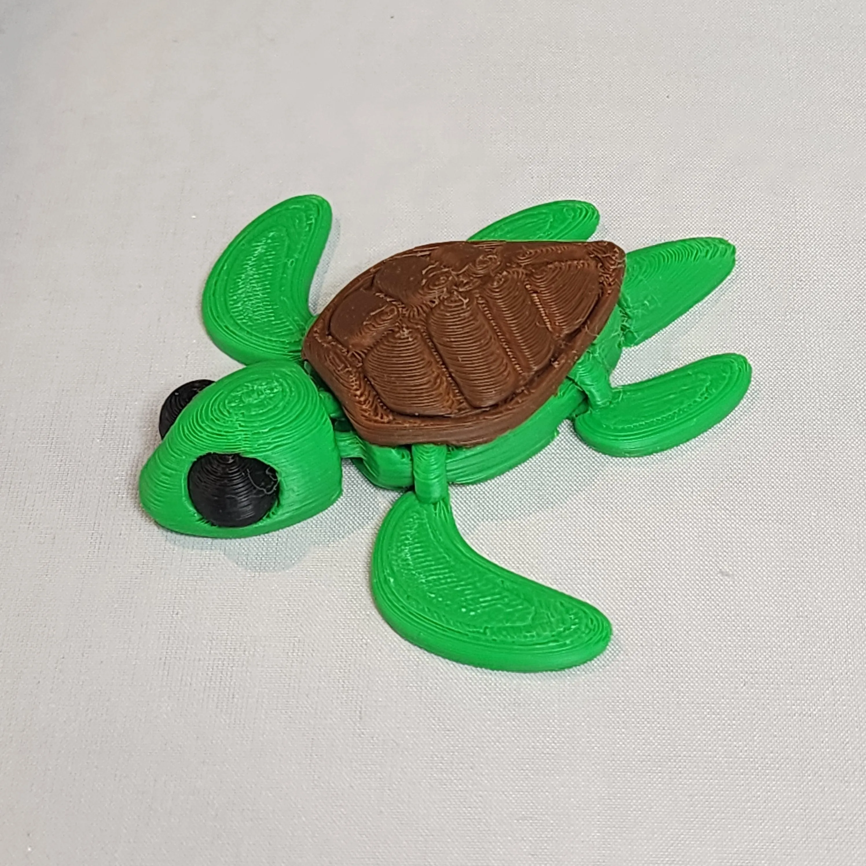 3D Printed Turtle Flexi