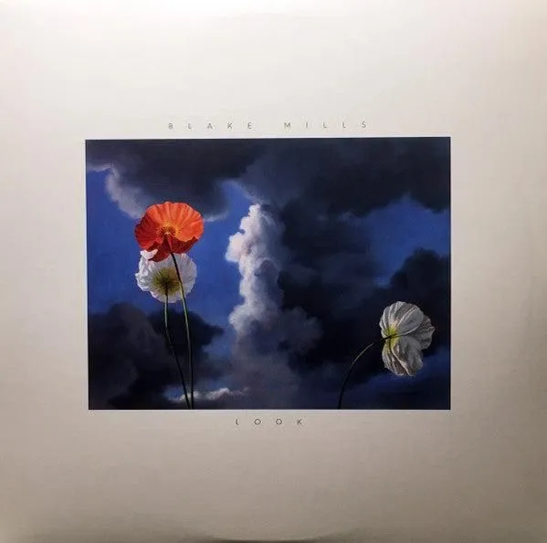 Blake Mills - Look (LP) (Mint (M))