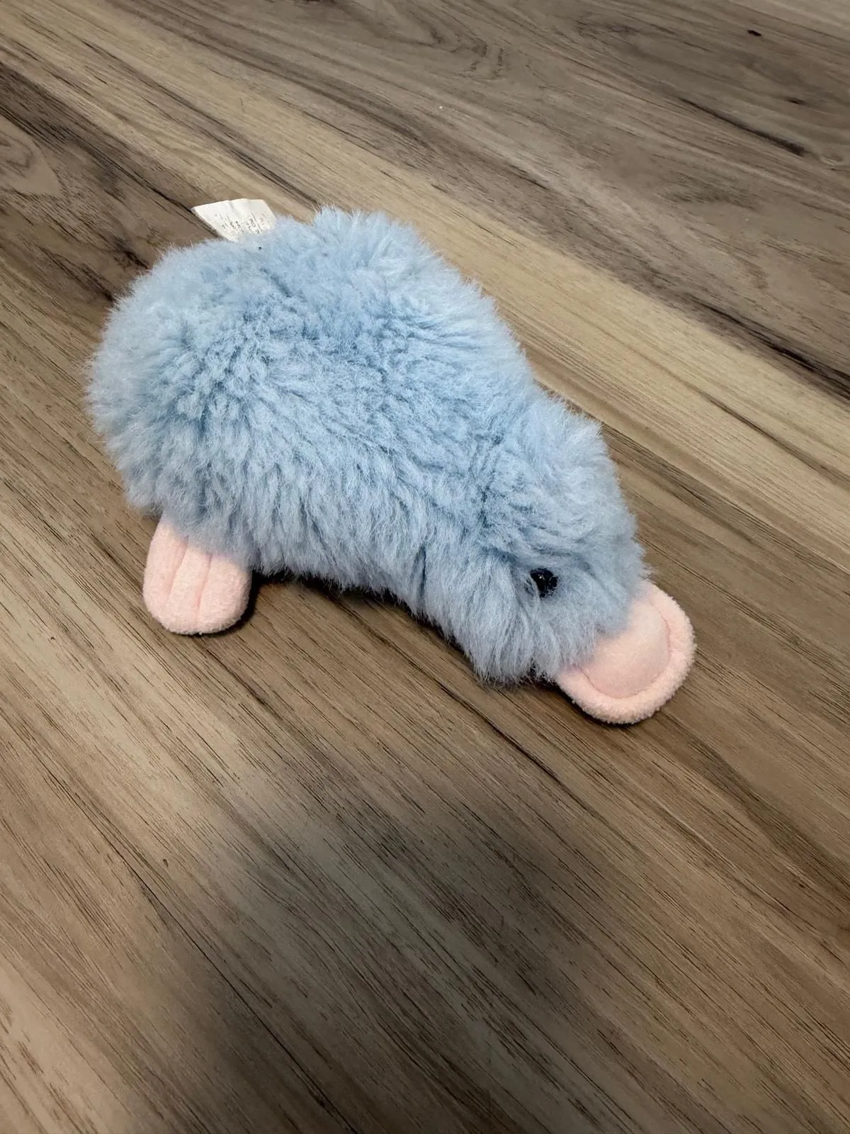 Tlqn0QMiVyCo5GvXhE6H Picture 0