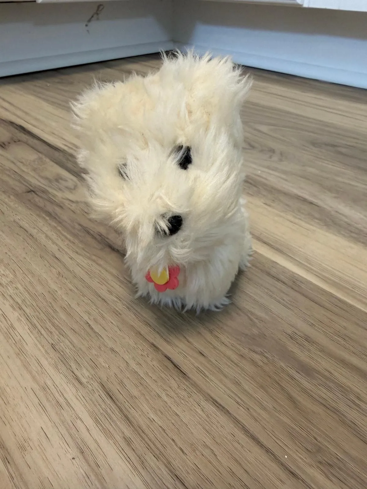 1eqshXGdLGAi2gIQxsnc Picture 0