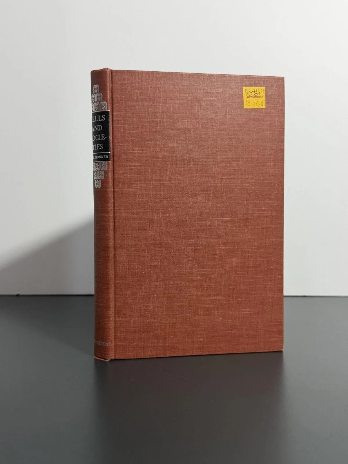 949ecc122c020af25776393522ed4325e8552965 Picture 0