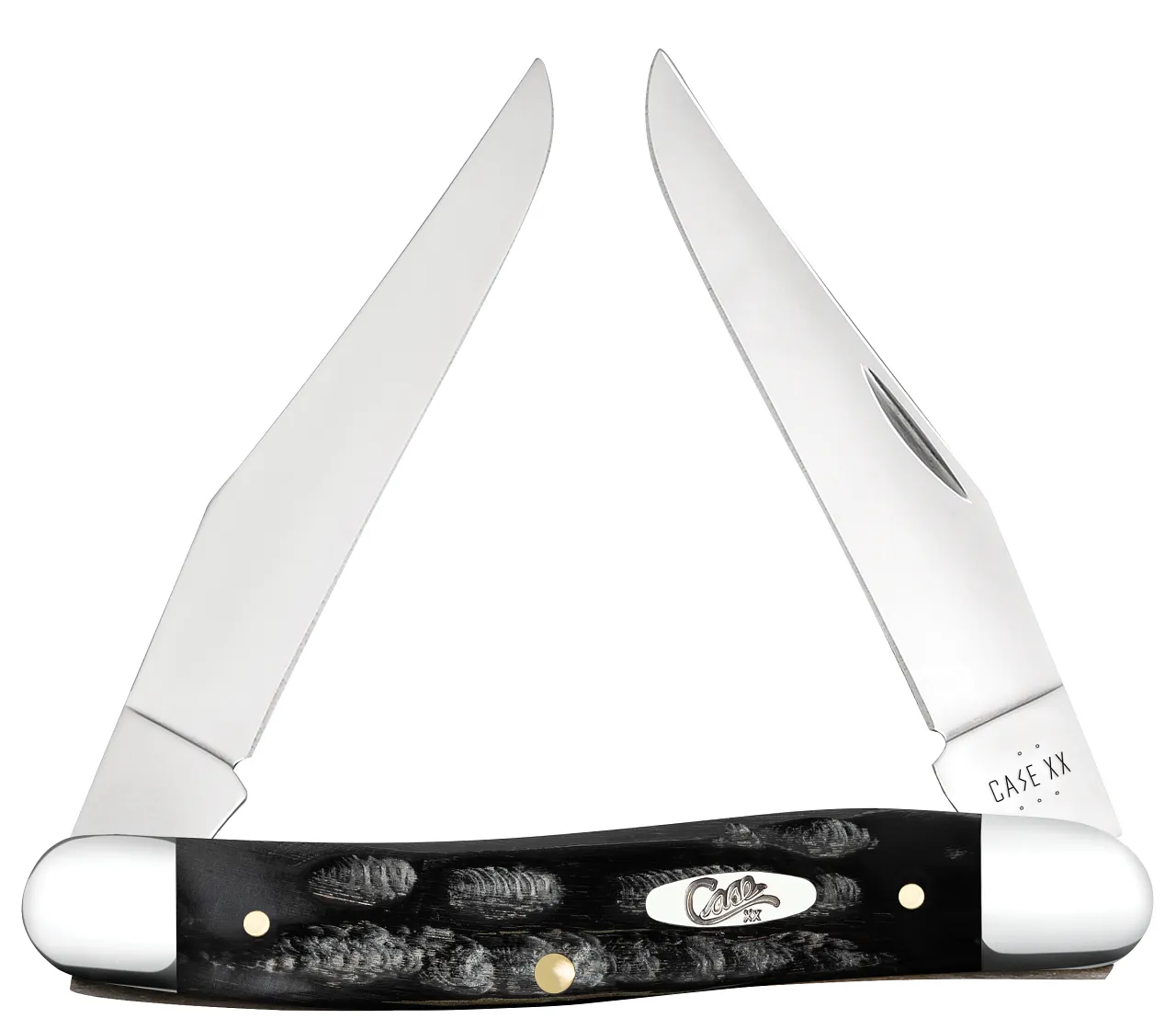 Case 65032 XX Knives Muskrat Jigged Buffalo Horn Stainless Pocket Knife