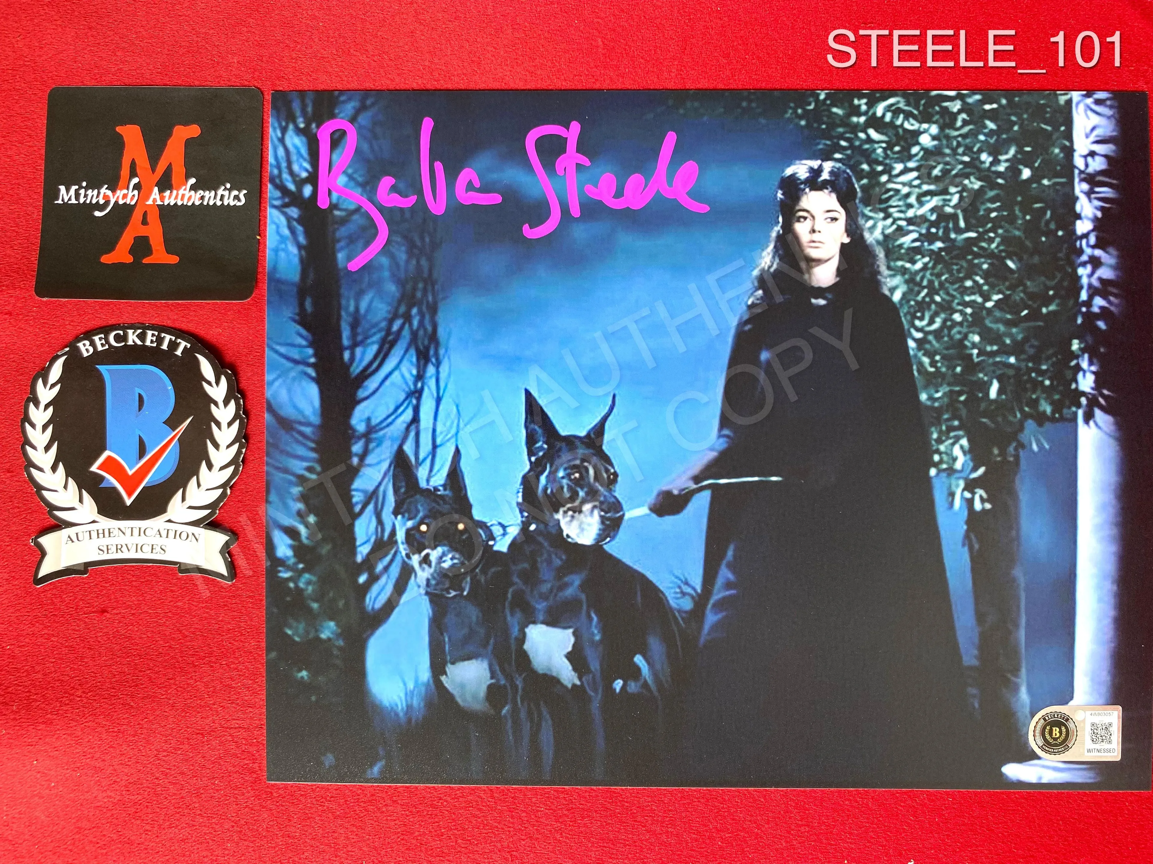 STEELE_101 - 8x10 Black Sunday Photo Autographed By Barbara Steele