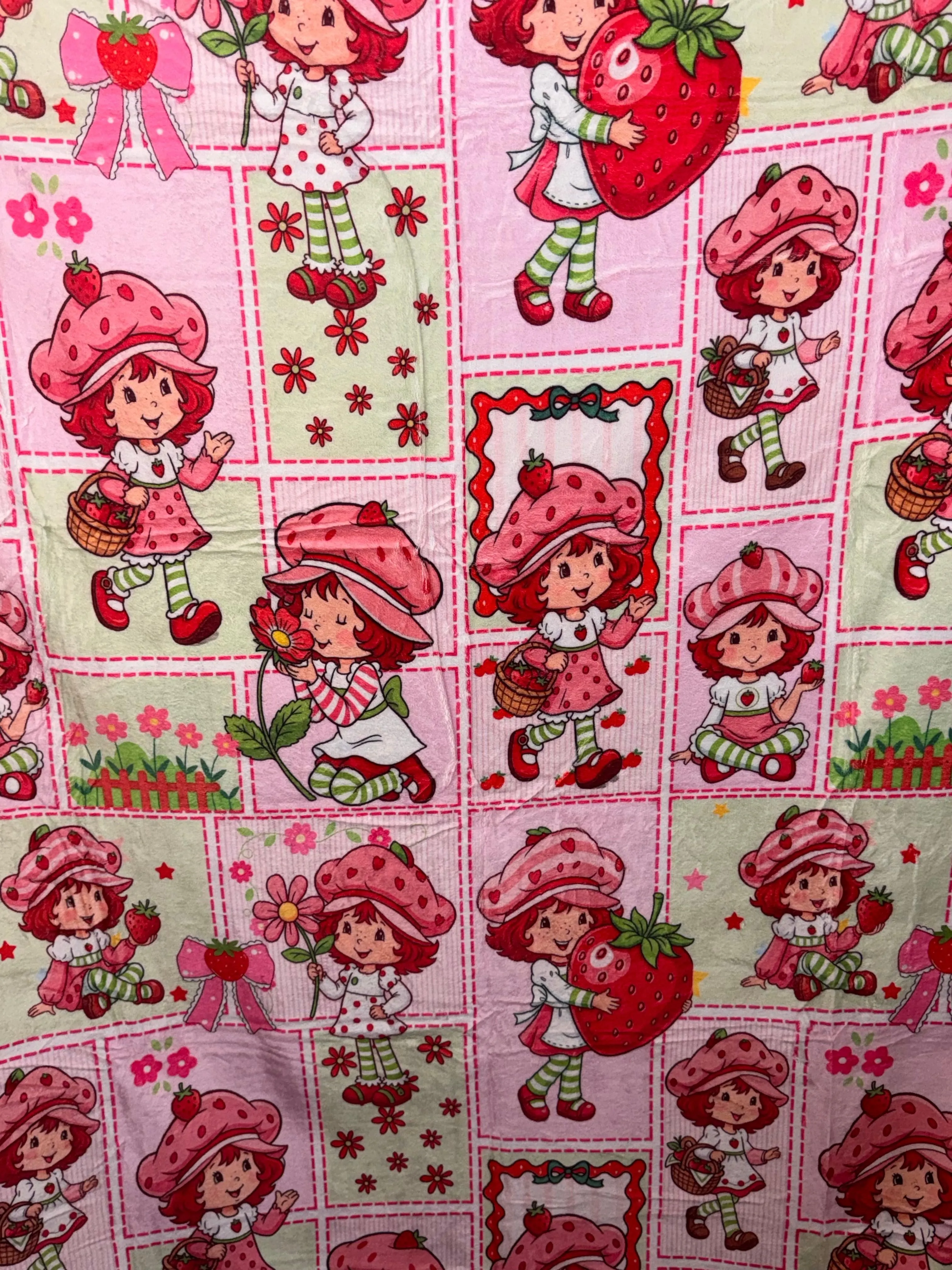Strawberry Shortcake 50x60 Minky Plush