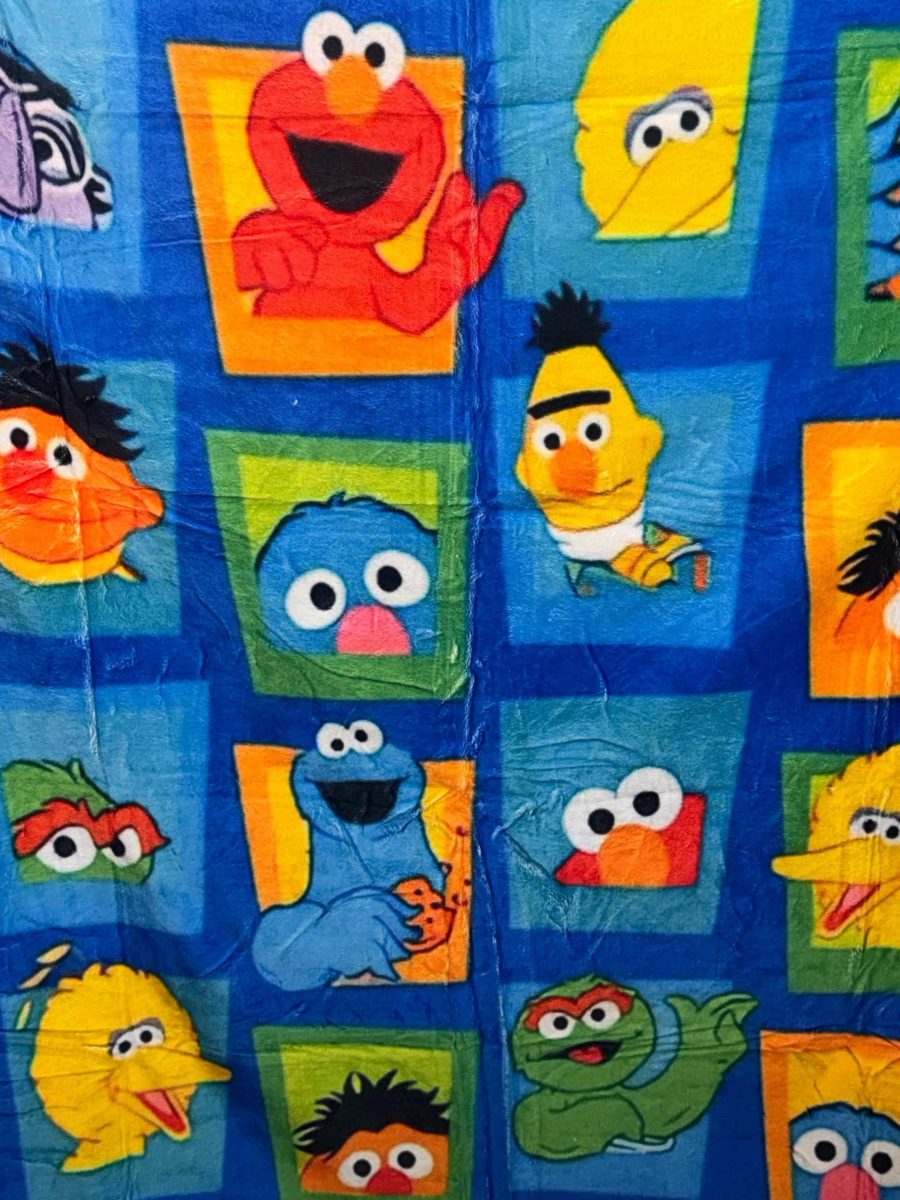 Sesame Street 50x60 Minky Plush