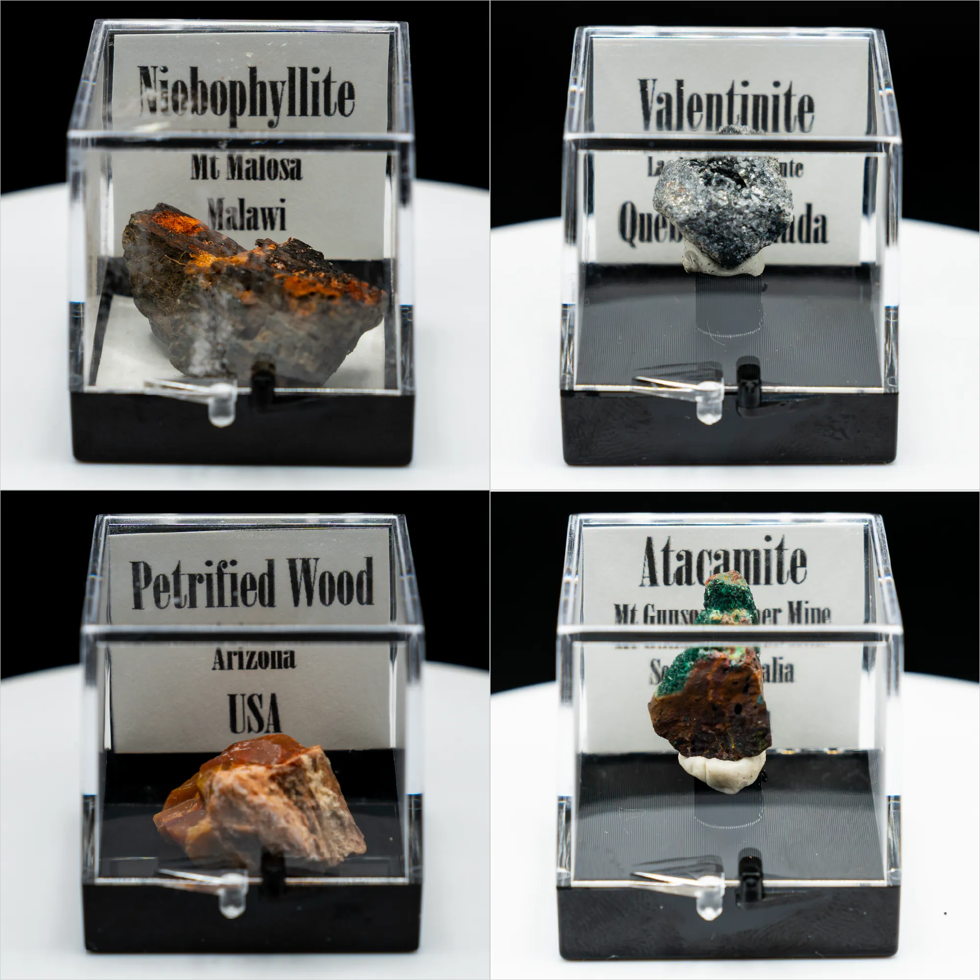 Pick-a-Perky — Choose Your Collector Mineral Specimen (Perky Box)