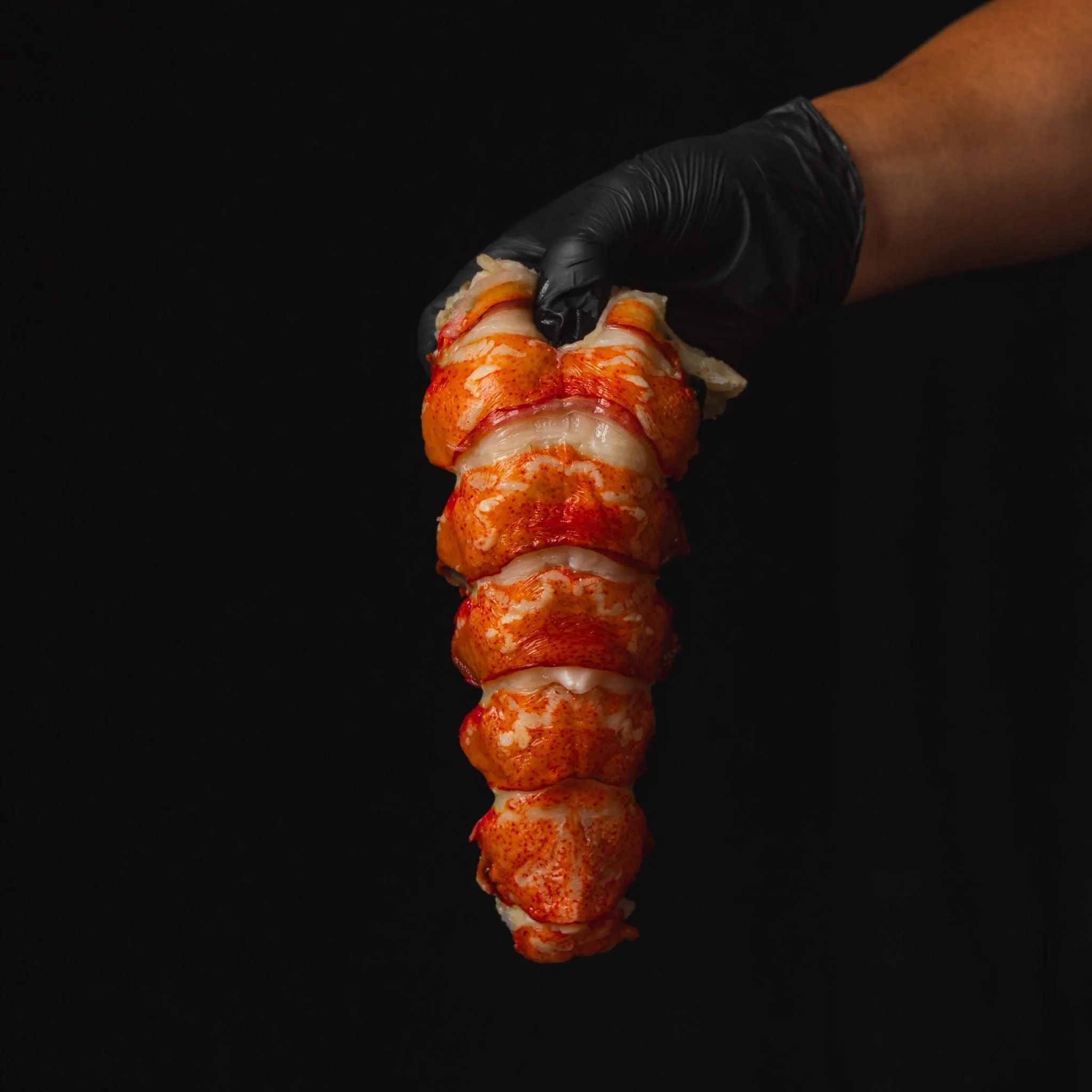 Maine Lobster Tails 2-Pack (16-20 oz)