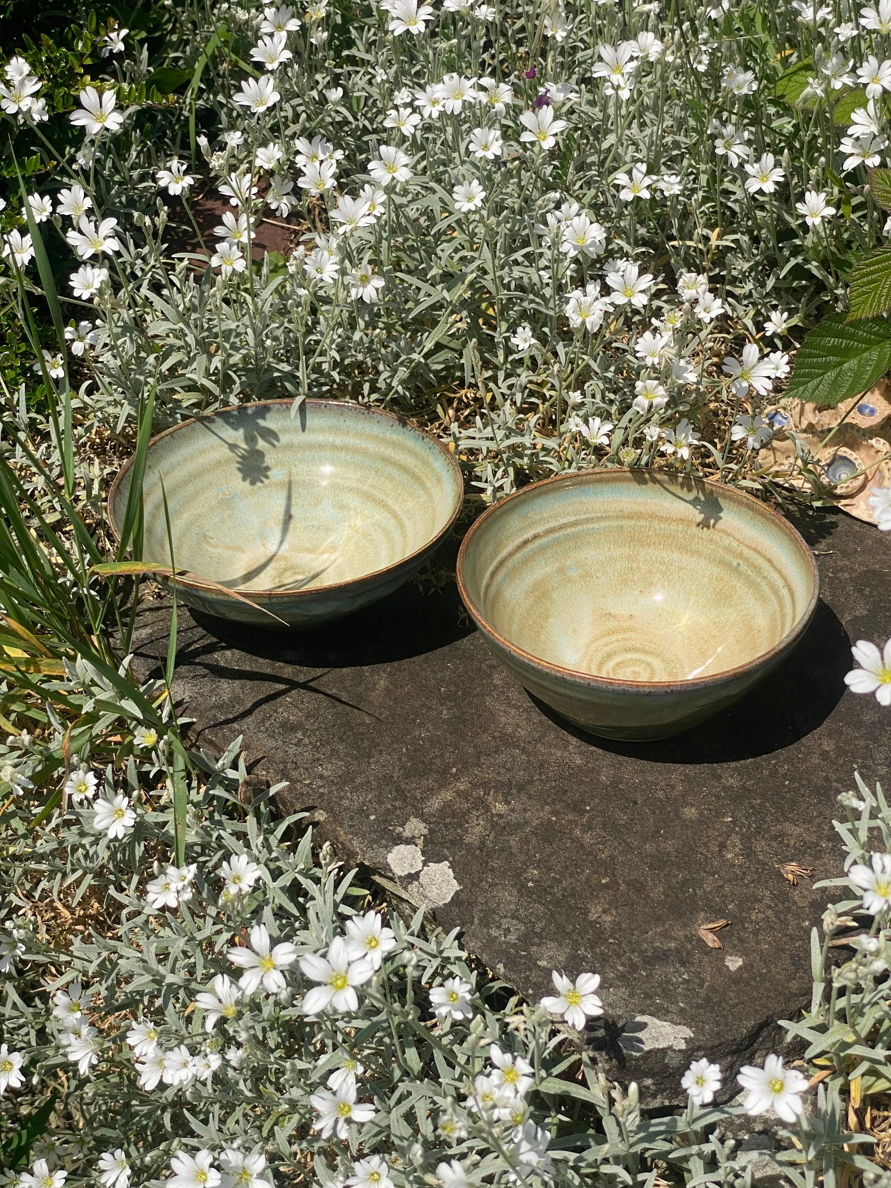 breakfast bowls pair