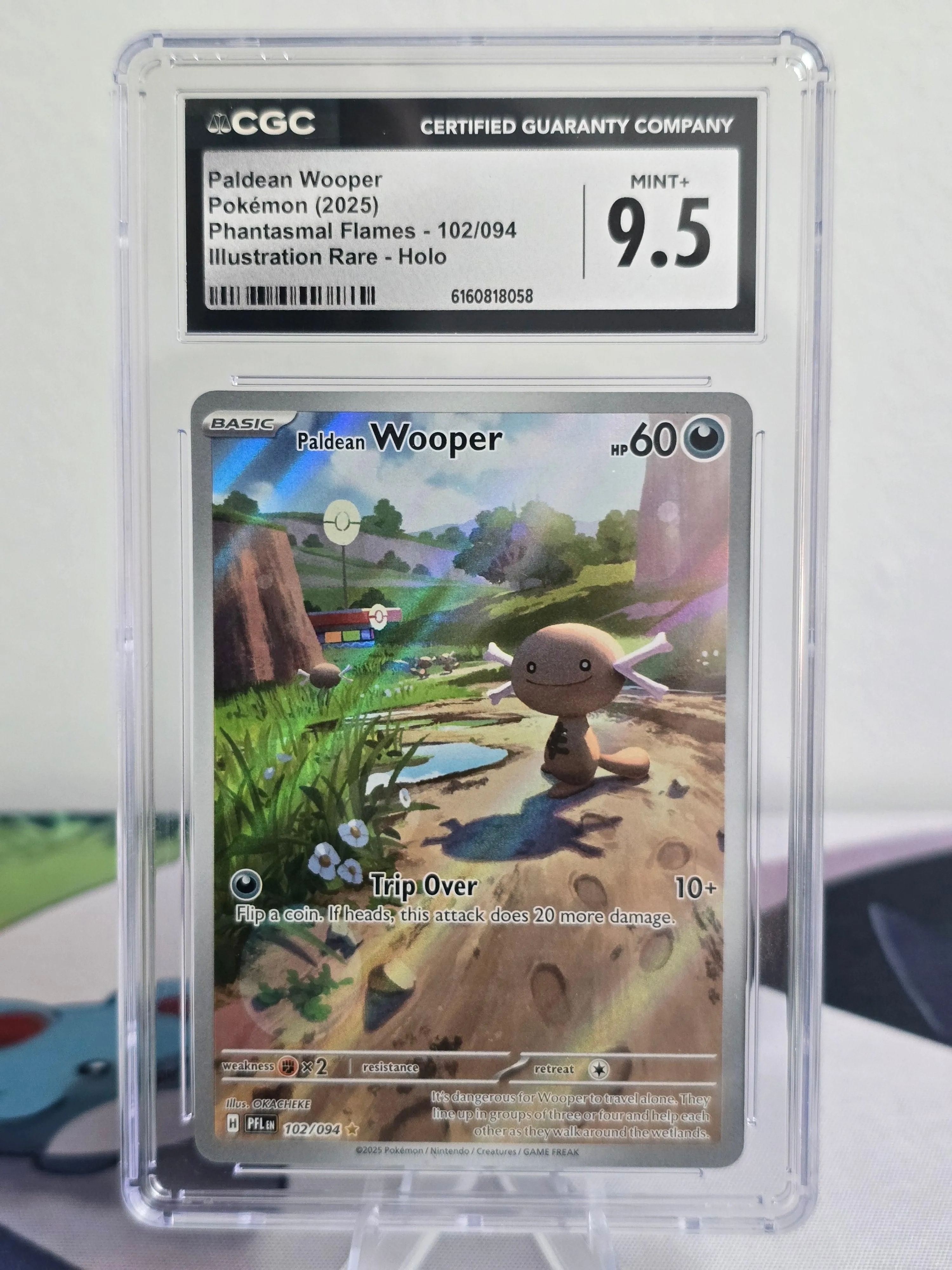Paldean Wooper #102/094 Illustration Rare — Phantasmal Flames — CGC 9.5 Mint+