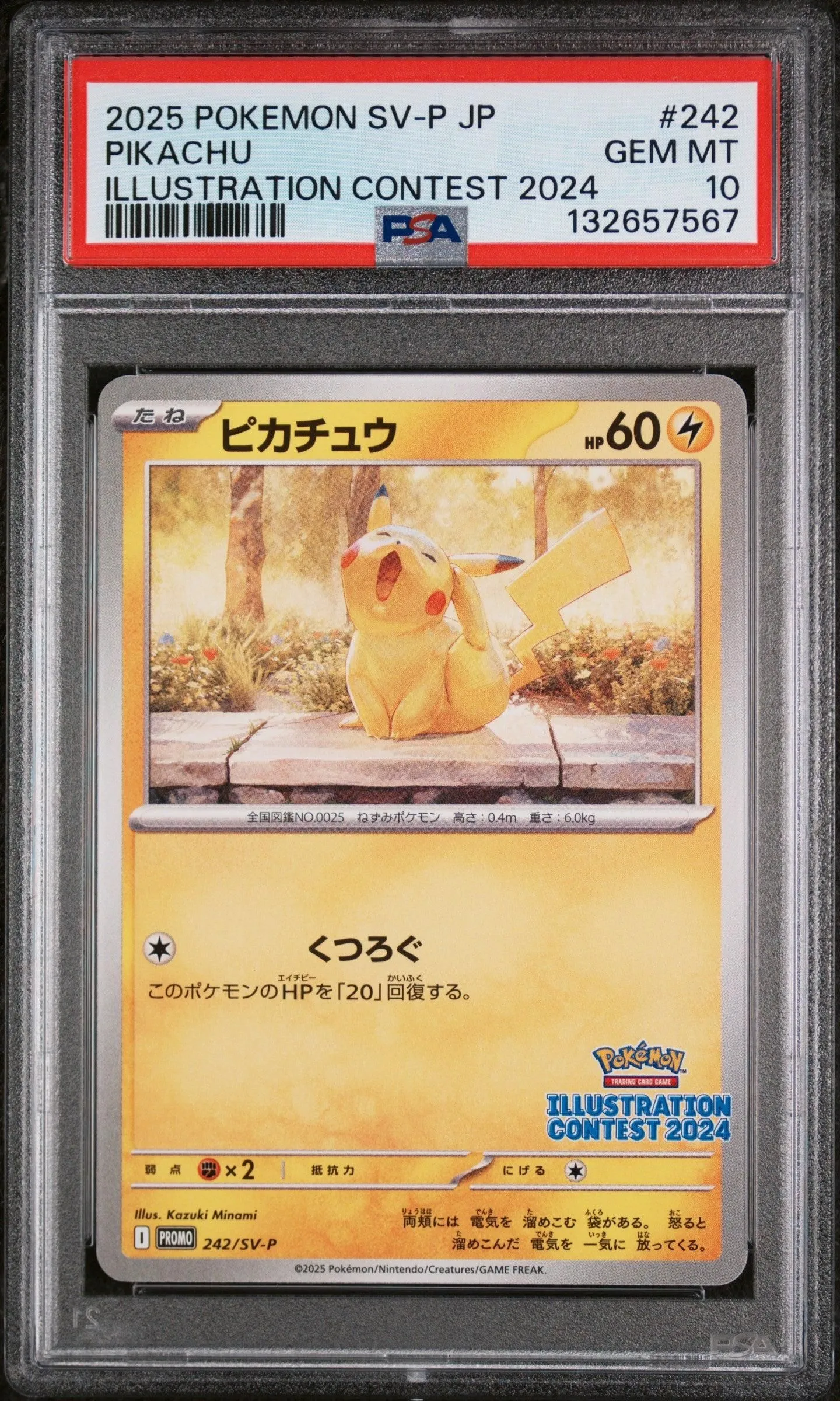 2025 Pokemon Japanese Sv-P Promo Illustration Contest 2024 Pikachu 10 PSA #242