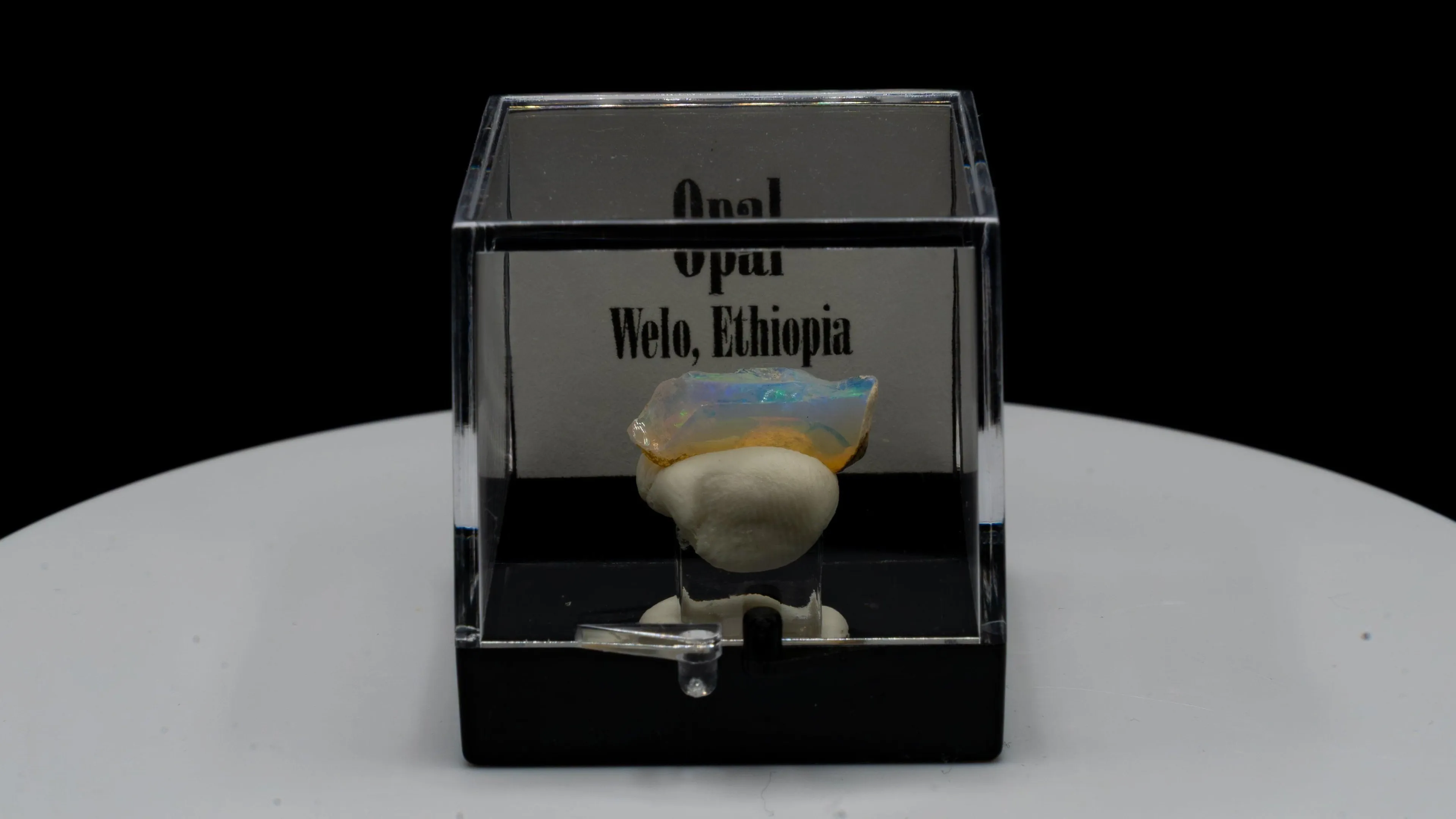 Welo Opal Specimen – Ethiopia | Perky Box Display