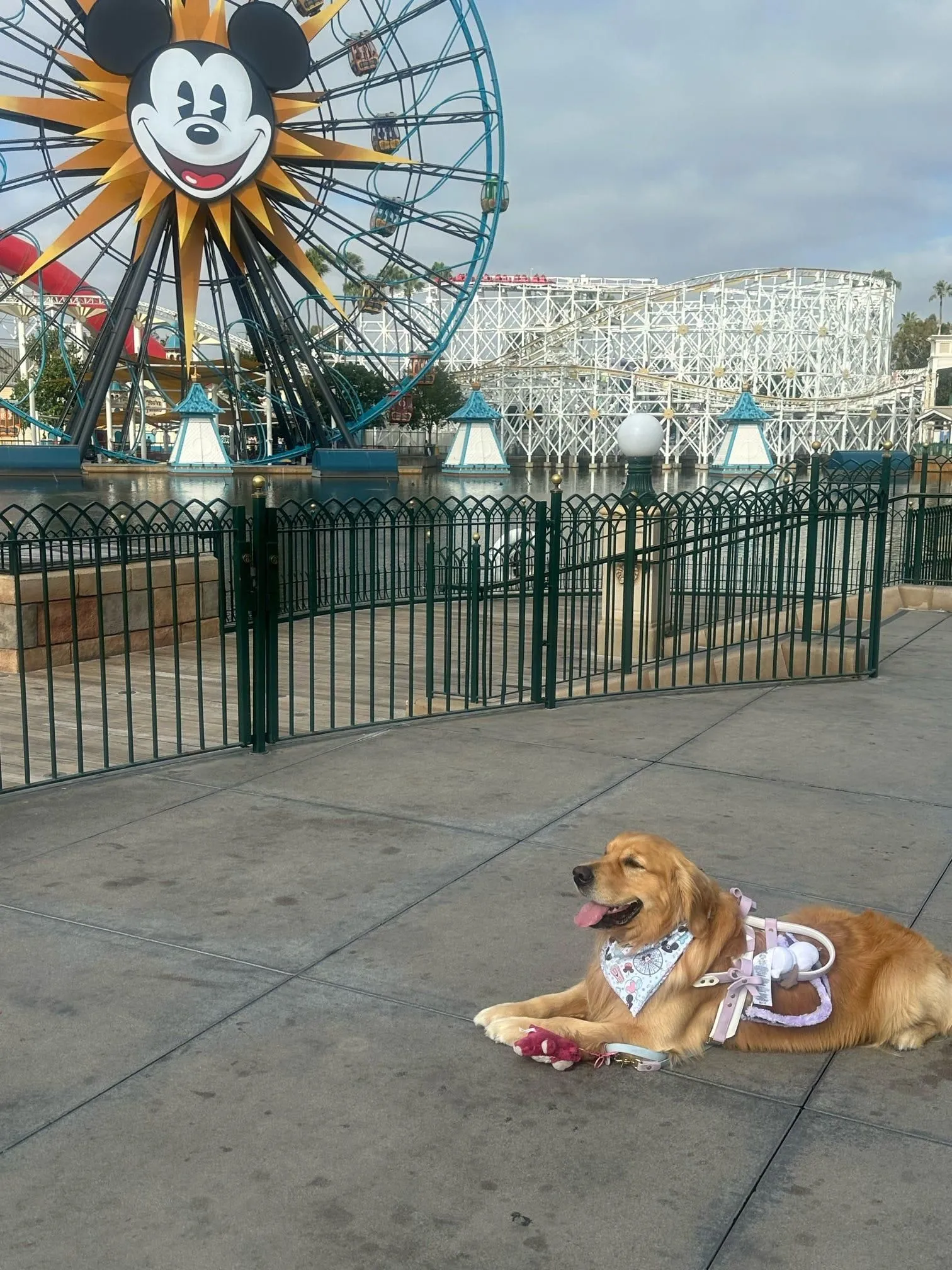 Cali Coaster Bandana