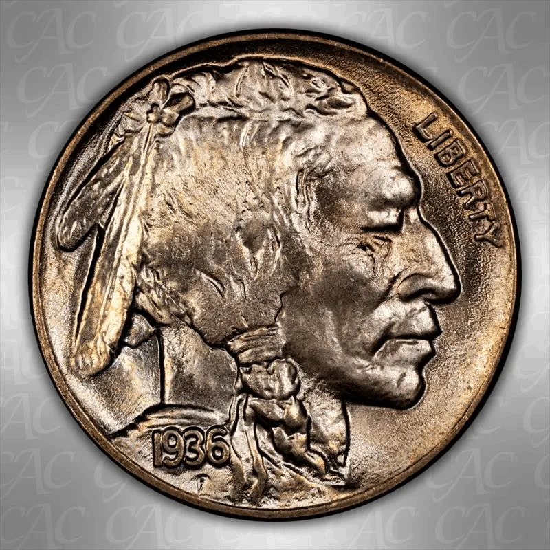 NICKELS BUFFALO Image 1