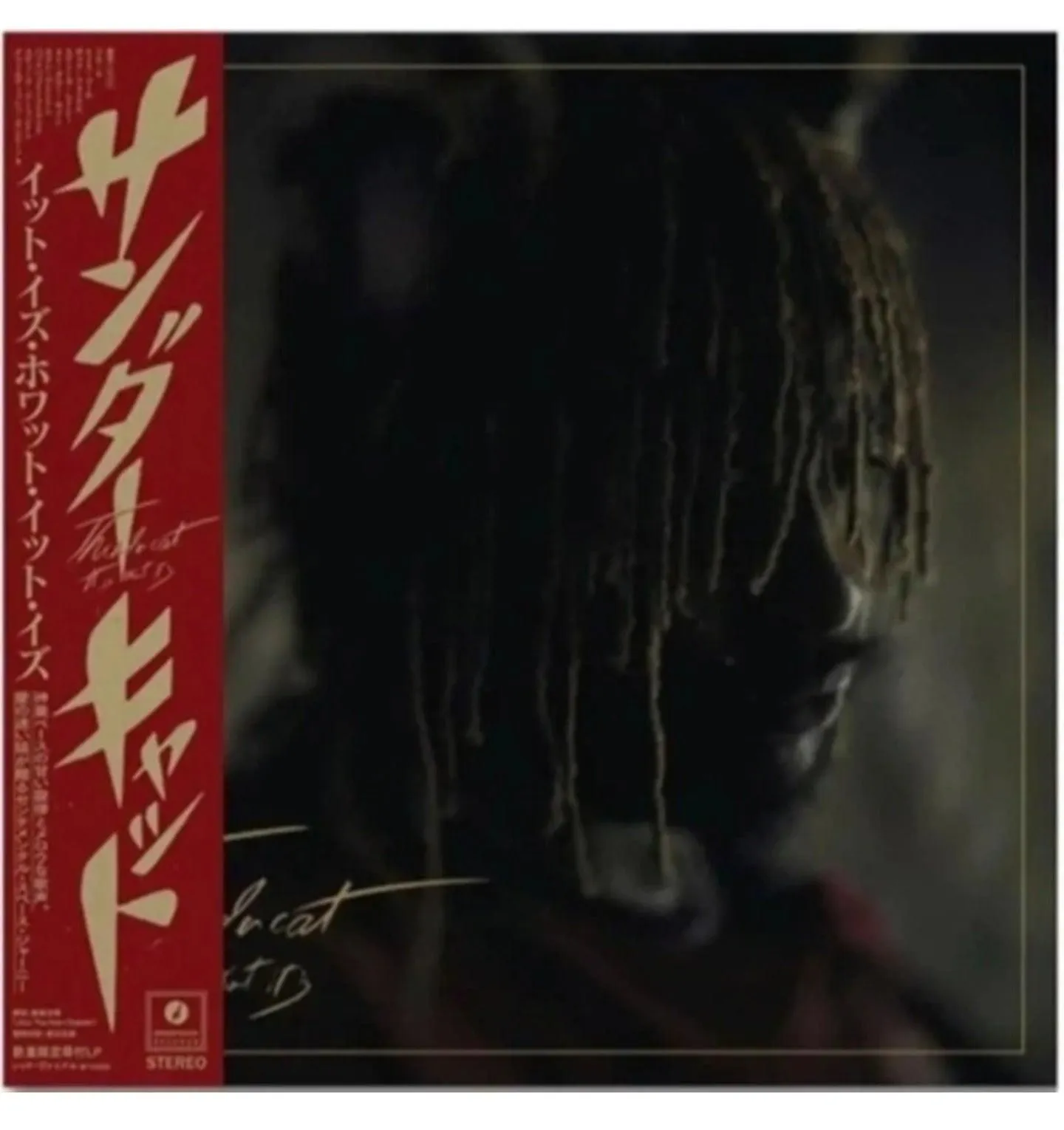 Thundercat/It Is What It Is BF100BR New LP