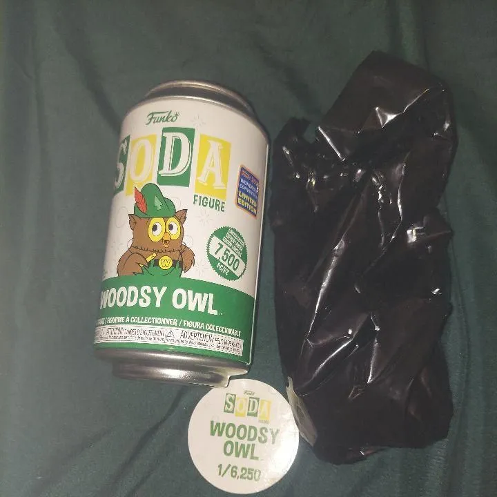 Product image for Woodsy Owl