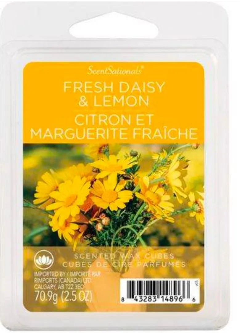 Scentsationals fresh daisy and lemon - citron et marguerite fraîche- scented wax cubes