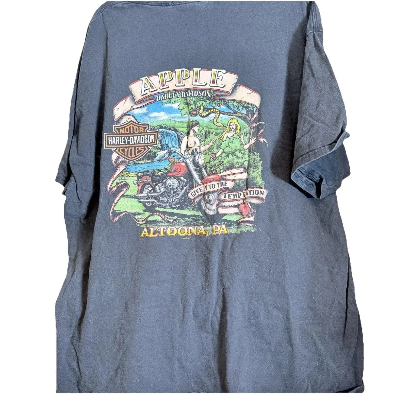 2e85b3a6a5f447184f729b5b4042cb7ffd2ce7c1 Picture 0