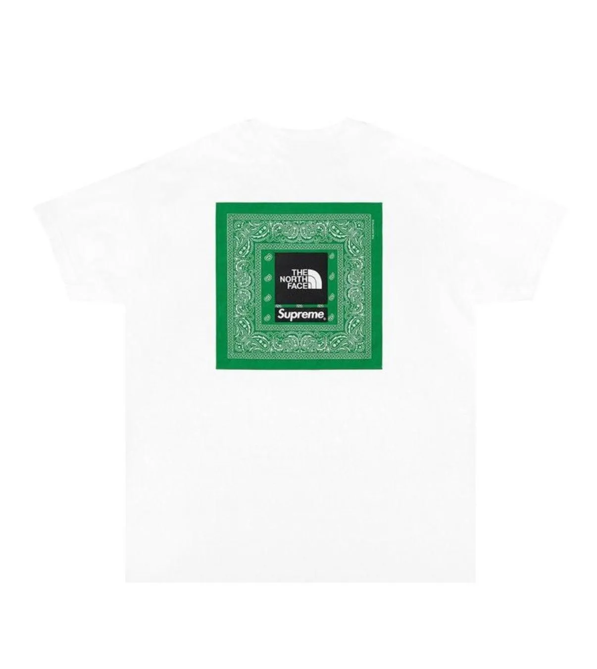 Supreme North Face Bandana Tee White