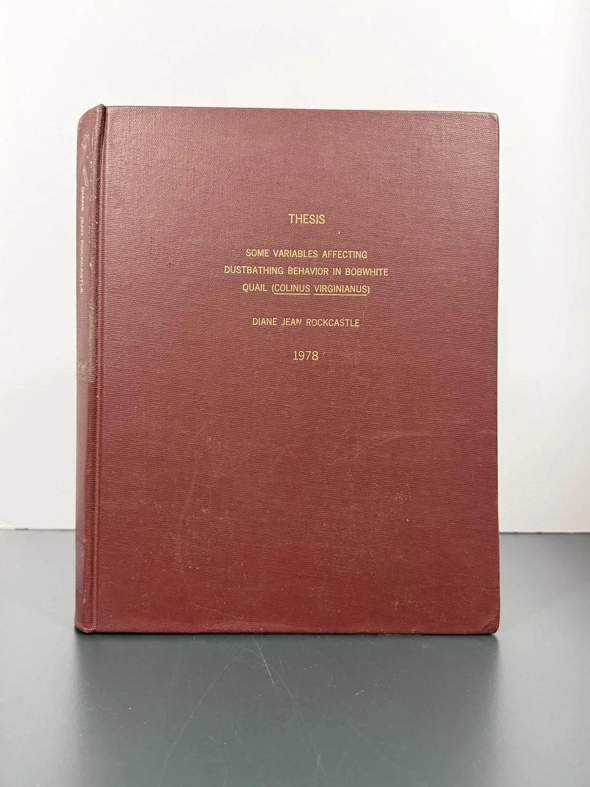 e5a31736cdc39abf24bfb391110276abb66d3296 Picture 0