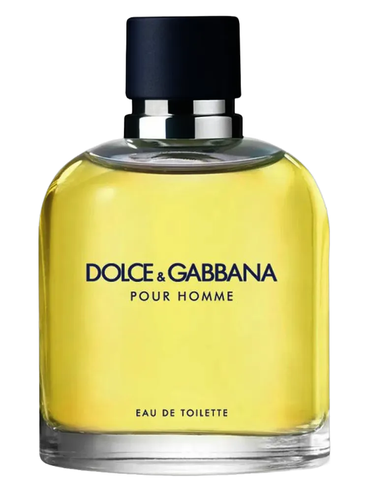 DOLCE & GABBANA POUR HOMME MEN