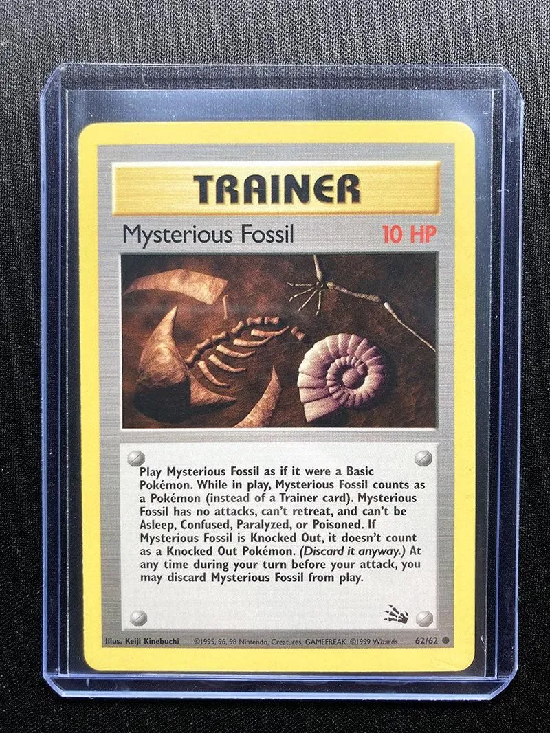 Mysterious Fossil - Fossil - #62