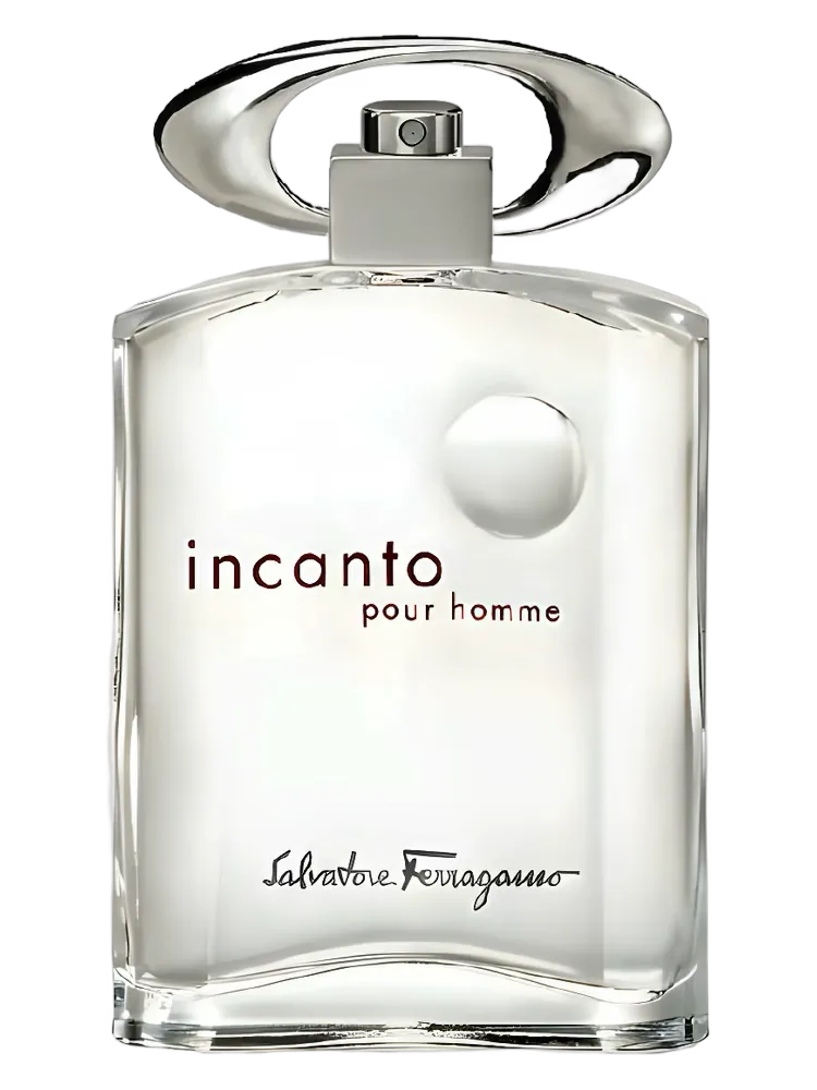 SALVATORE FERRAGAMO INCANTO POUR HOMME MEN