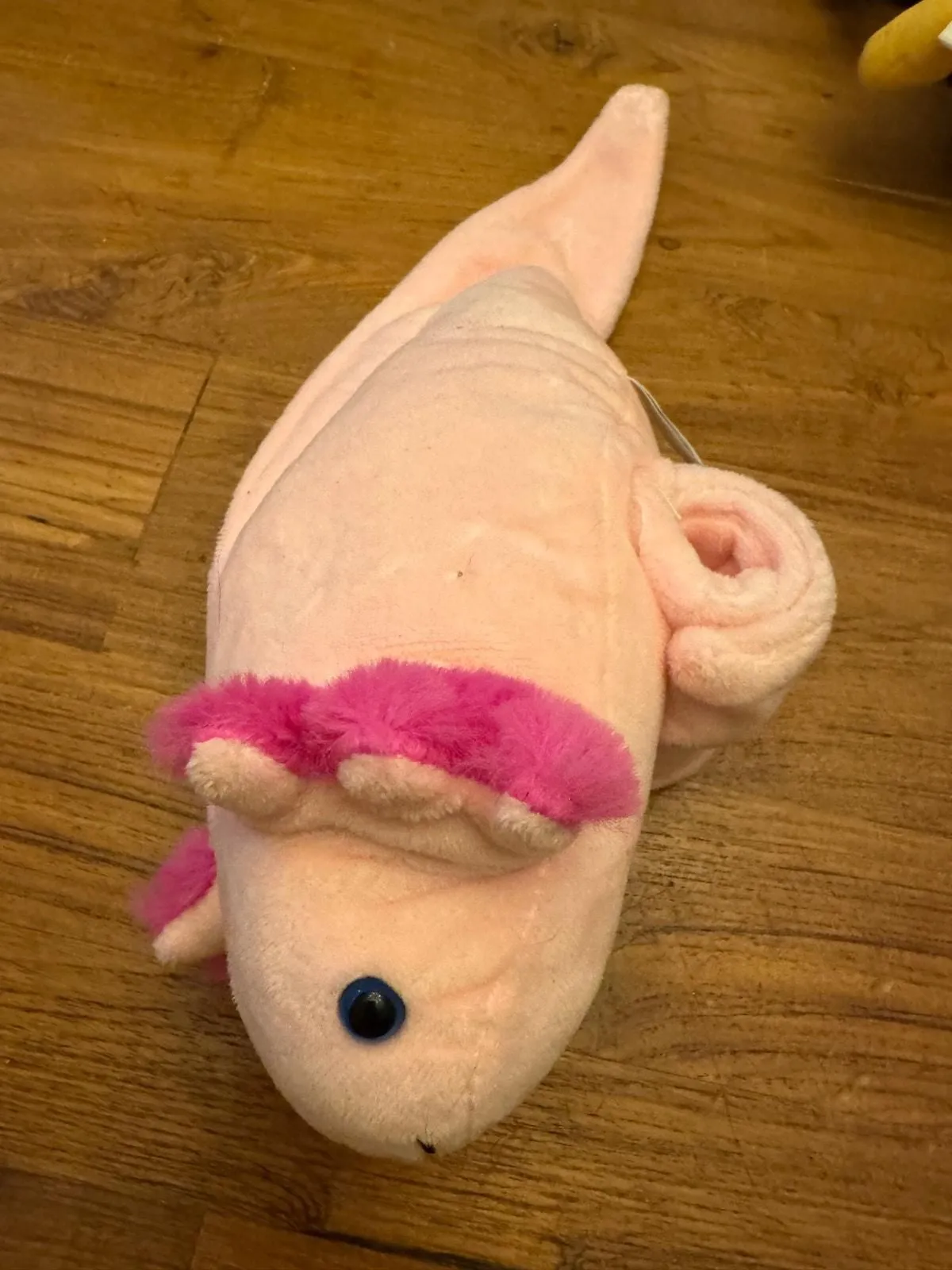 rUepu4uhxp6KvSQsIgOH Picture 0