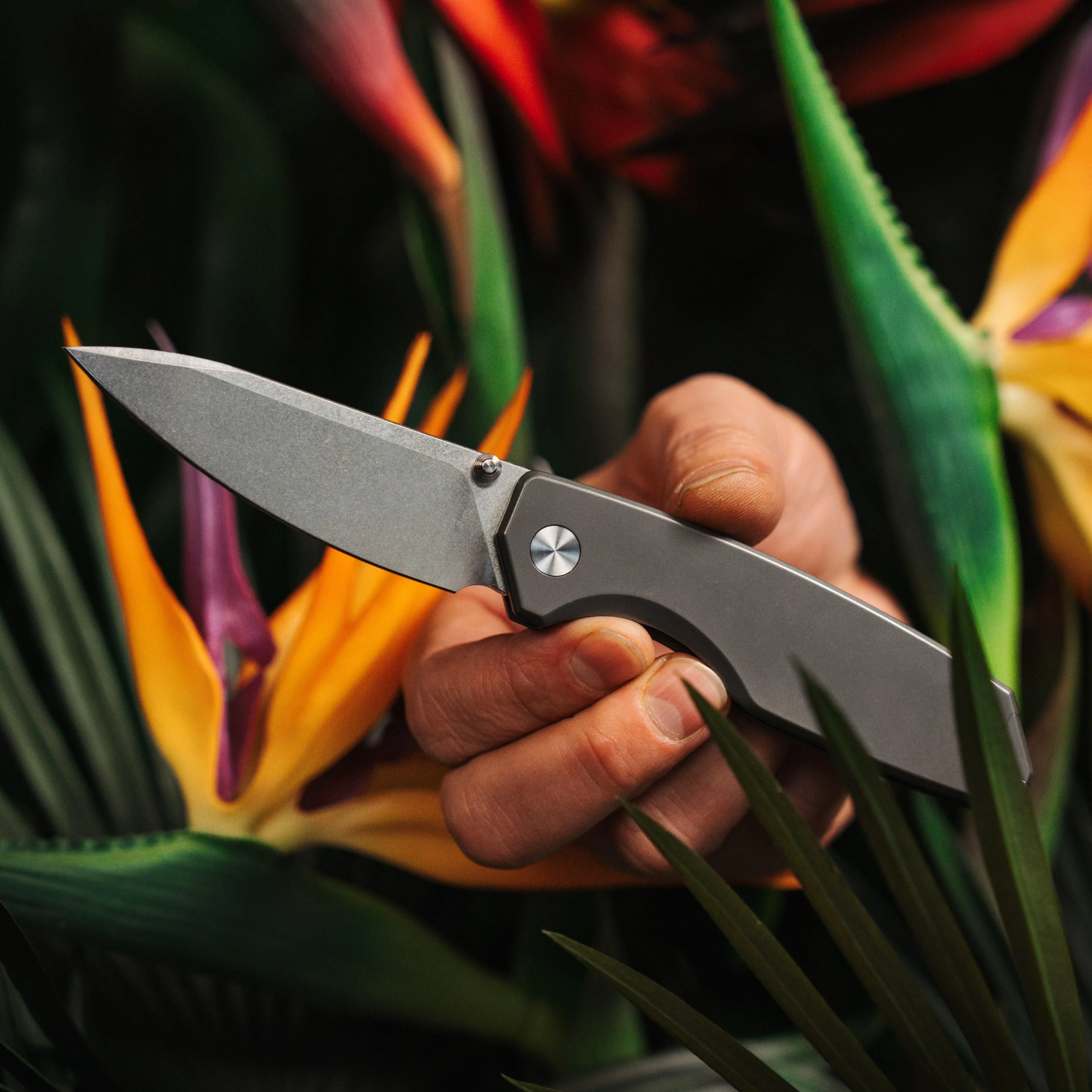 Ti Manu Pocket Knife