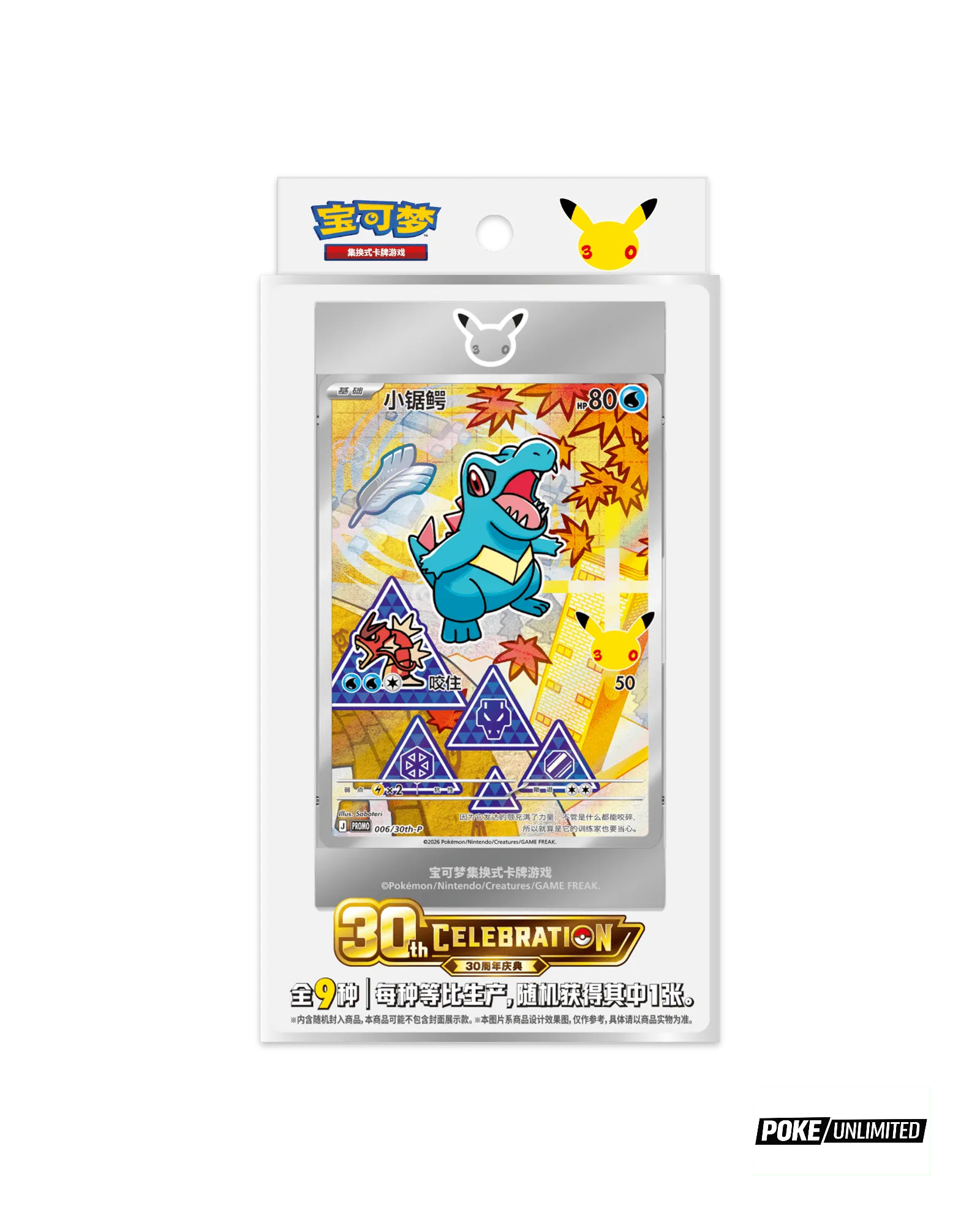 Pokémon TCG: 30th Anniversary Special Art Card Set Vol.2 - Simplified Chinese