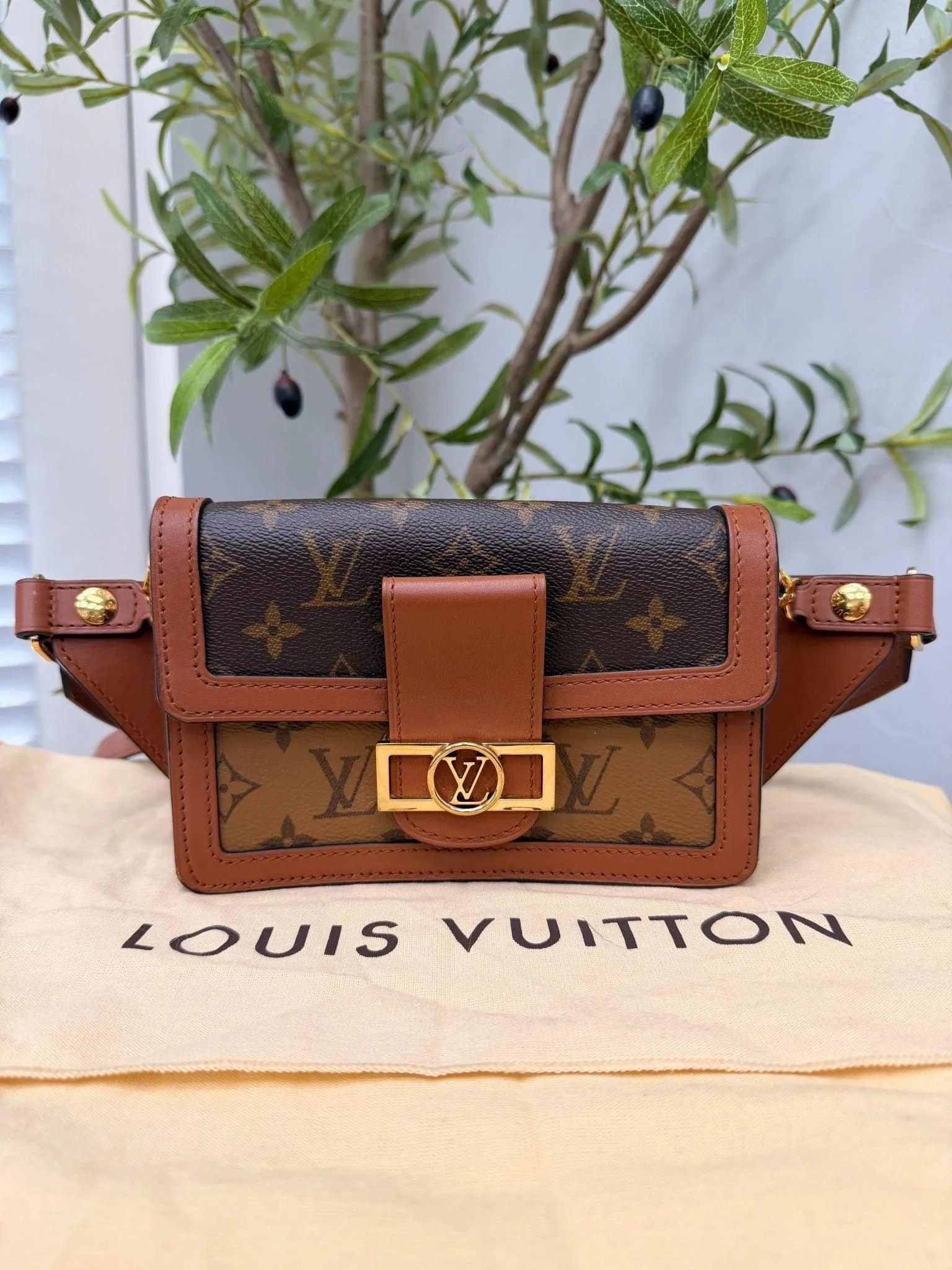 Louis Vuitton Reverse Monogram Mini Dauphine Bum Bag