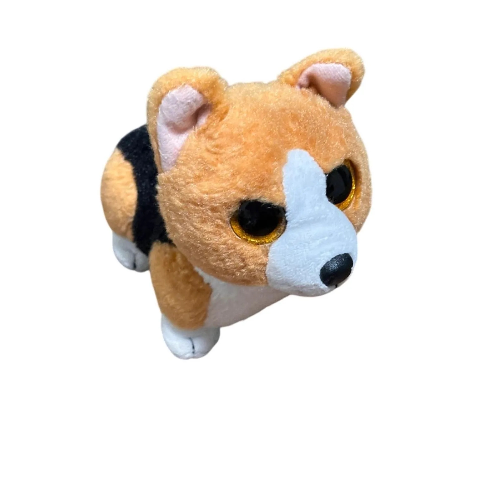 0AzaGMTpqK5NkKuvrepV Picture 0