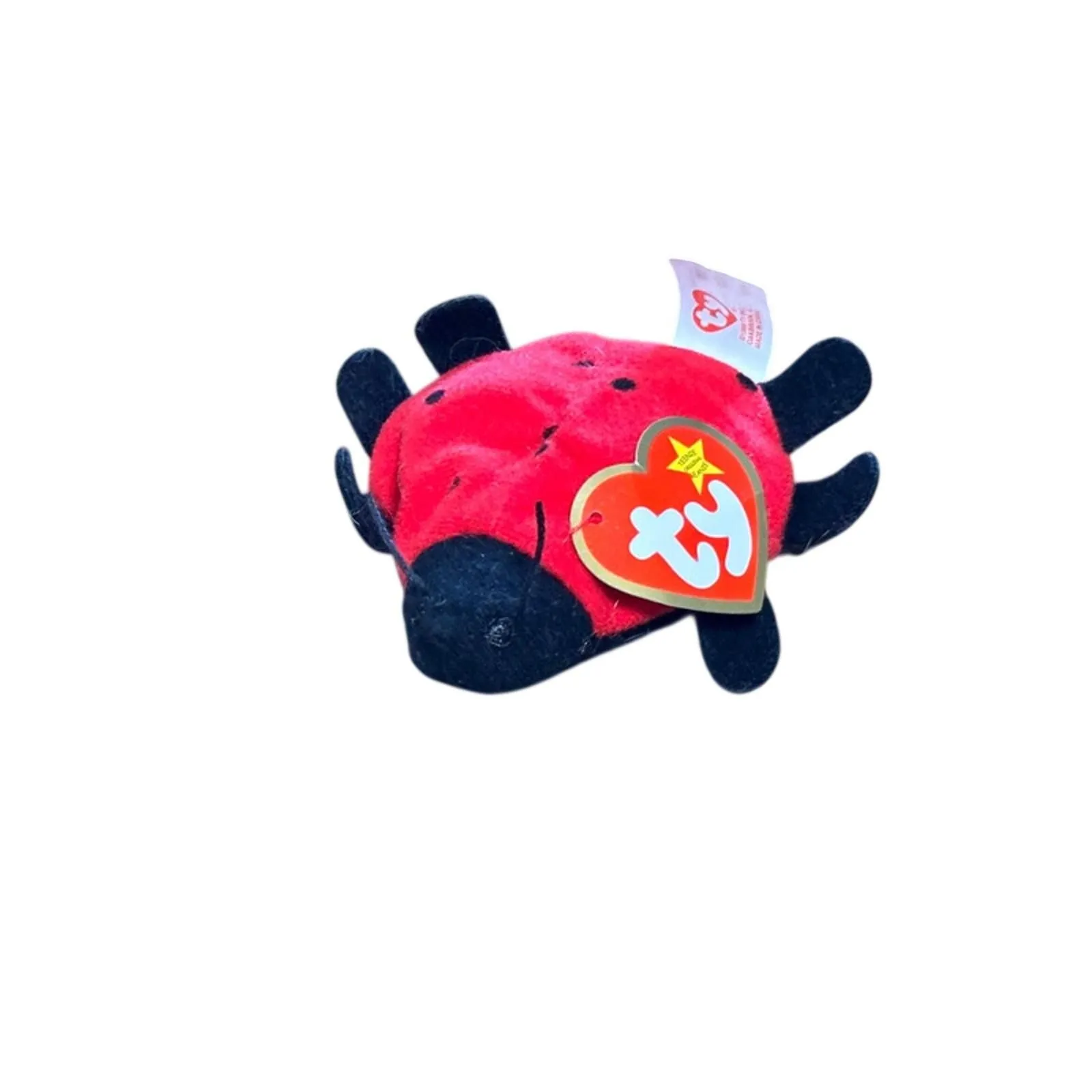 PkZensncBFe2XrFhBMIY Picture 0