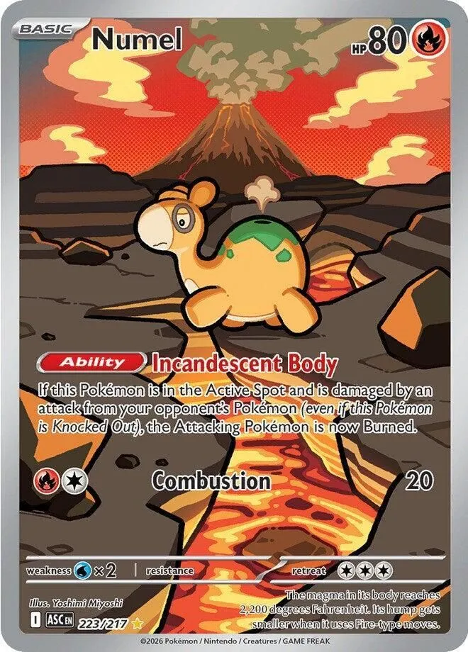 Numel - 223/217 ME: Ascended Heroes Illustration Rare Pokemon
