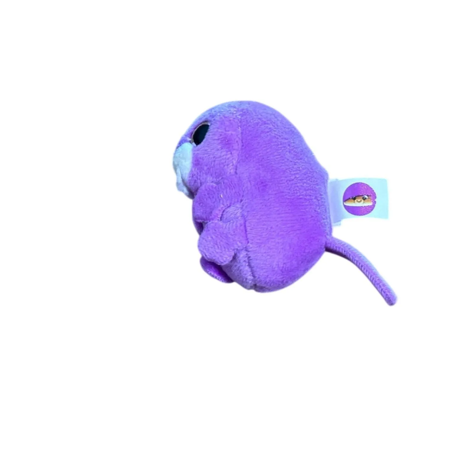 mZ8YfsFwbANUcFiJ4ZYd Picture 0