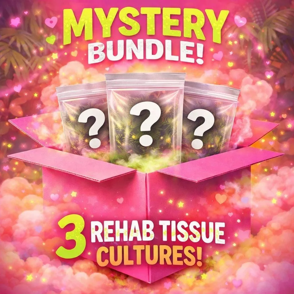 Mystery Rehab Tissue Culture Bundle