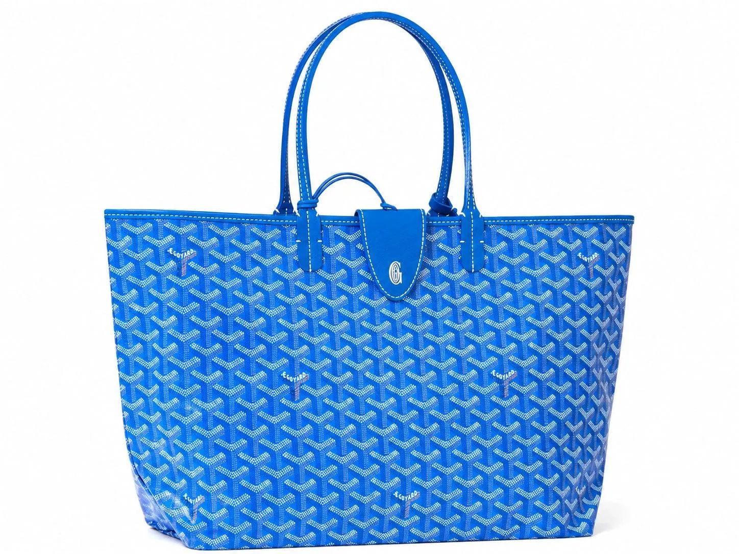 Goyard Sac Hardy Pet Carrier Goyardine PM Sky Blue