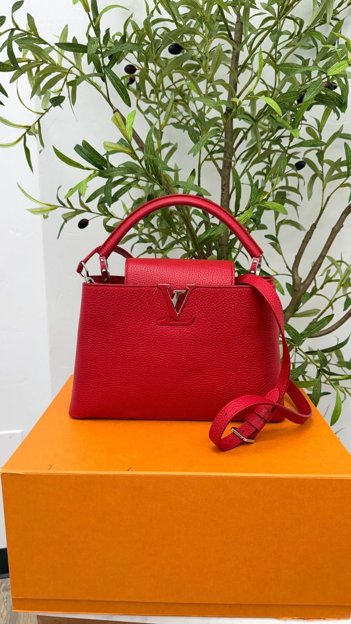 Louis Vuitton Red Taurillon Leather Capucines MM Bag