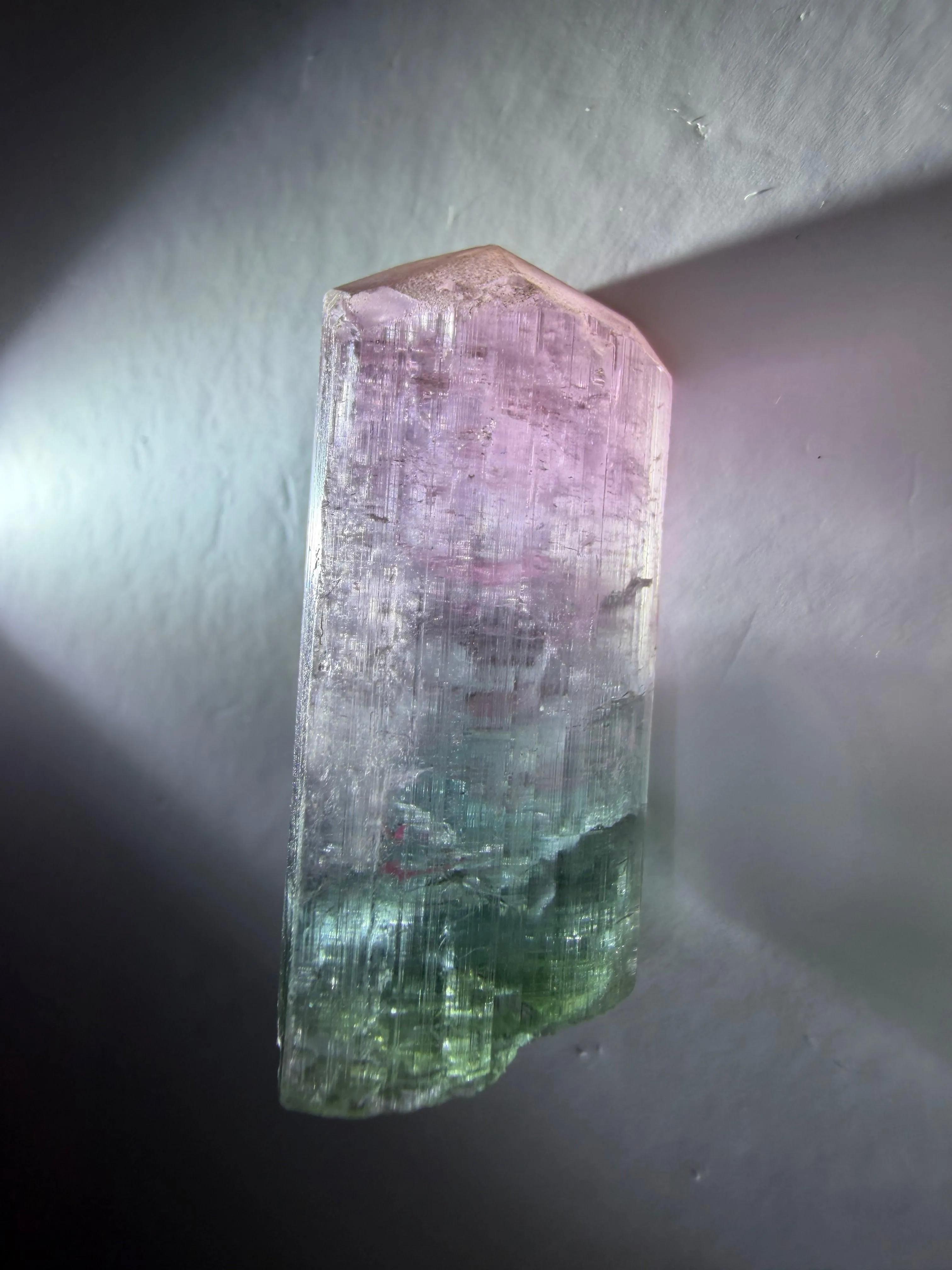 Bicolor Tourmaline Crystal | Gem Green to Gem Pink with Opaque Termination | Old Stock | Cruzeiro Mine, Minas Gerais, Brazil