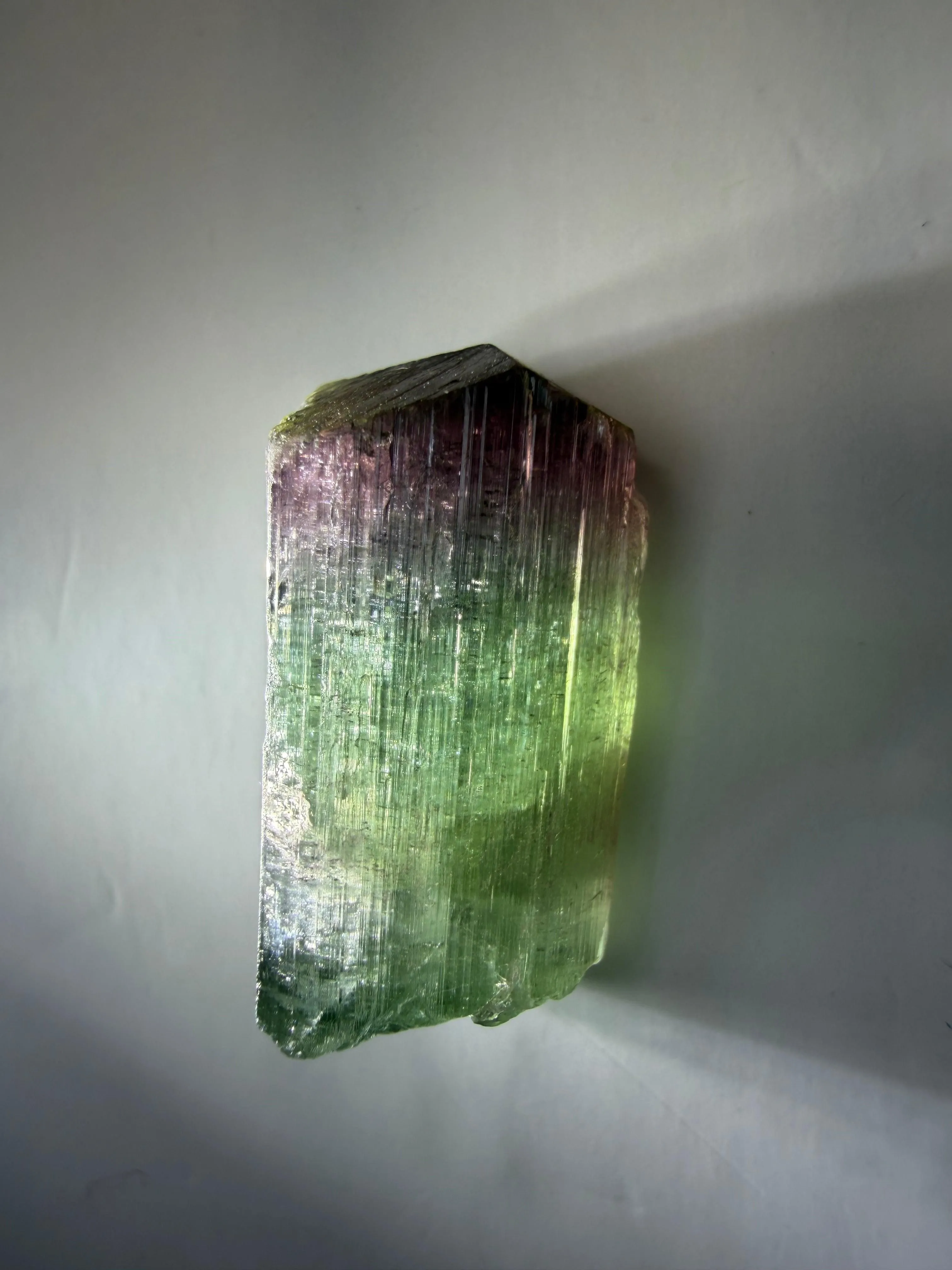 Bicolor Tourmaline Crystal | Classic Teal to Red | Old Stock | Cruzeiro Mine, Minas Gerais, Brazil