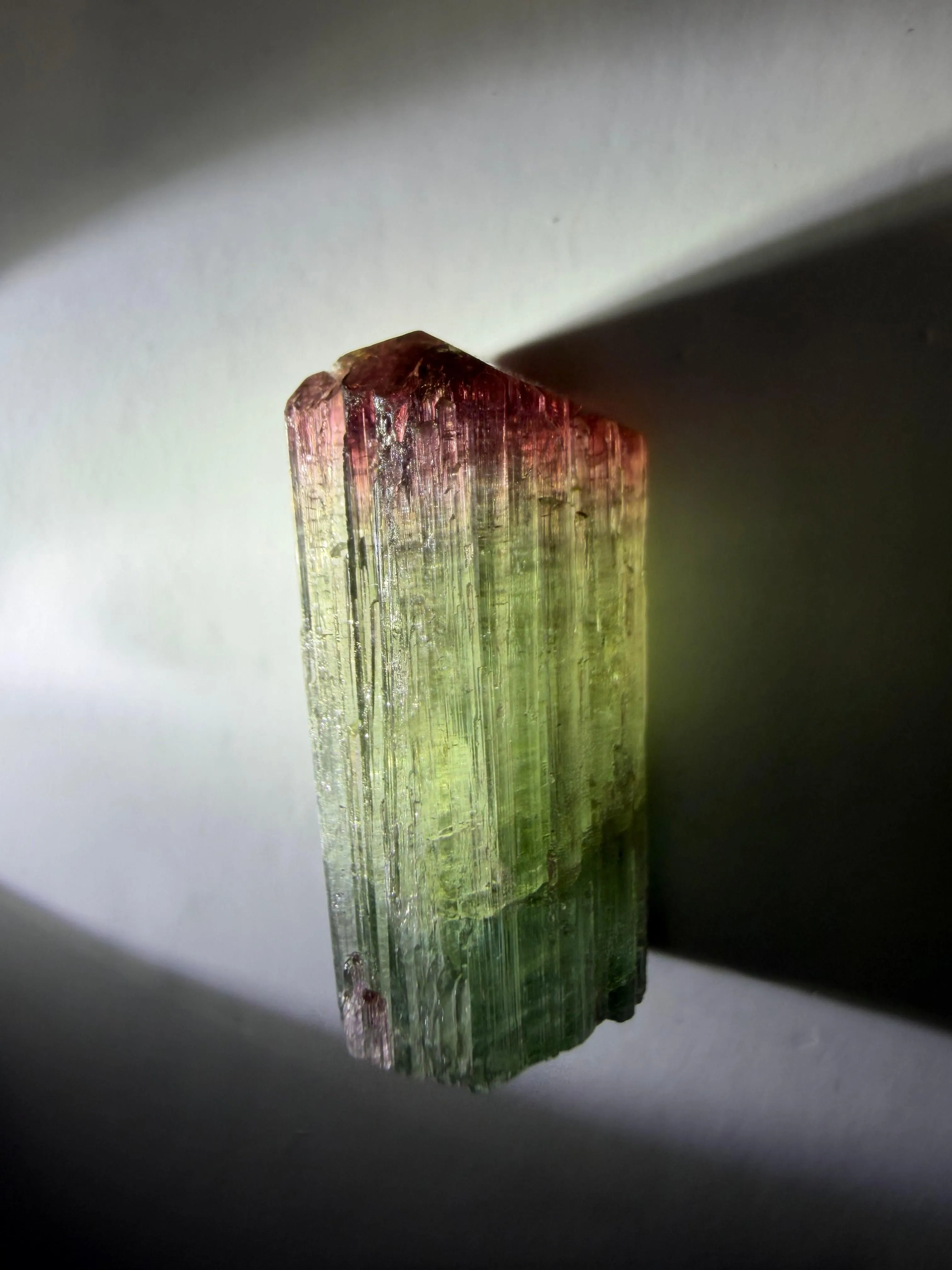 Bicolor Tourmaline Crystal | Classic Teal to Red | Old Stock | Cruzeiro Mine, Minas Gerais, Brazil