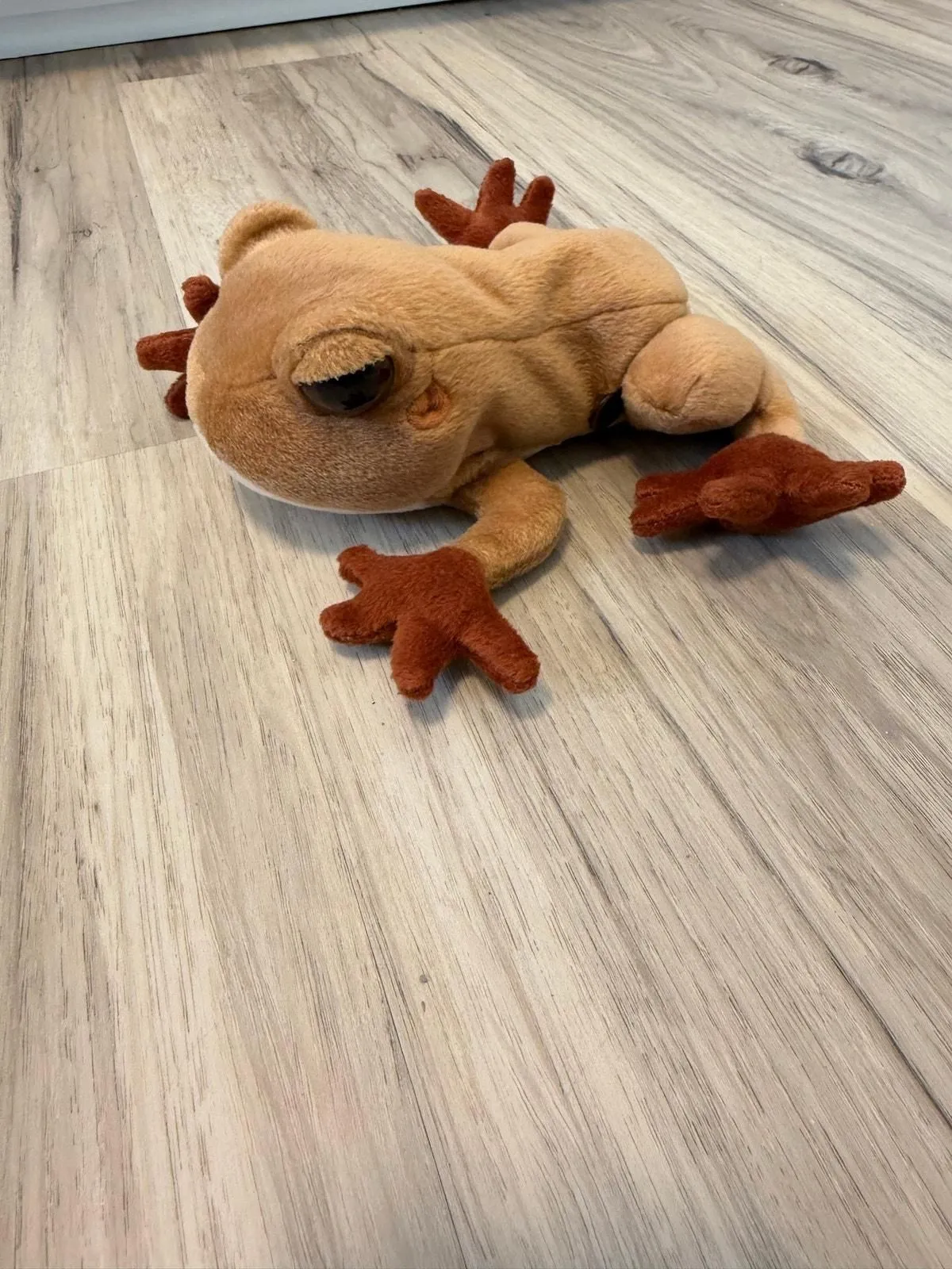 cASxA0VSa67eUAaCjXwo Picture 0