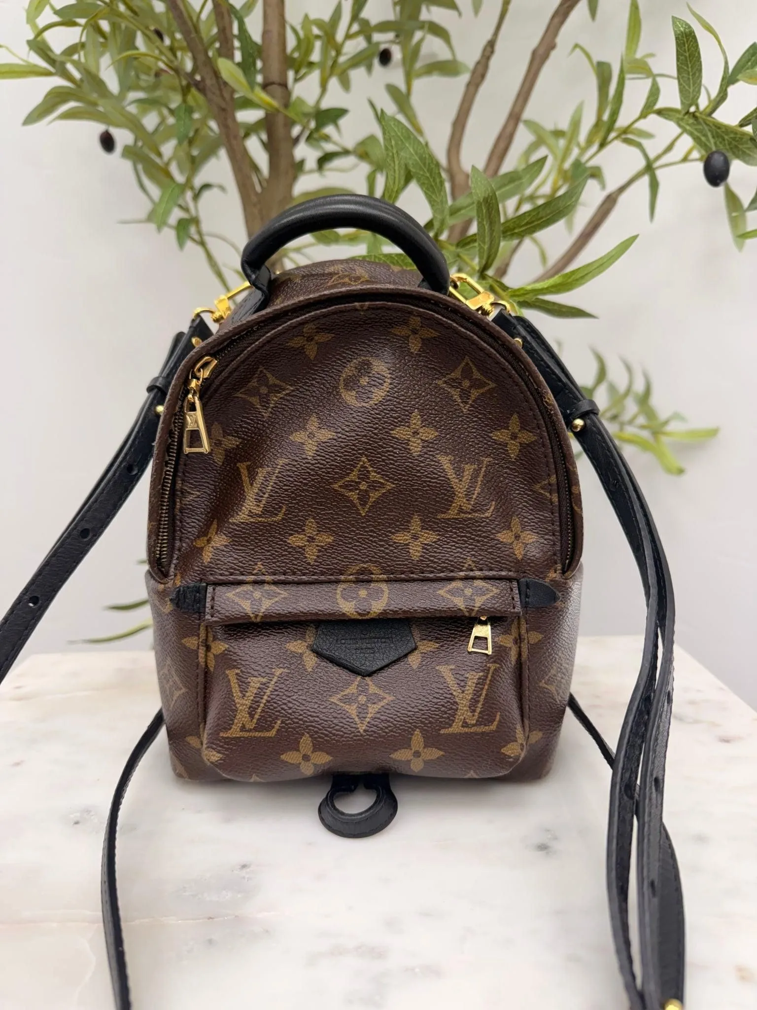 Louis Vuitton Monogram Mini Palm Springs Backpack