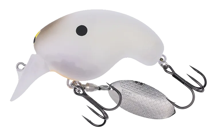 Daiwa Mr. Fortune