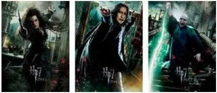 Harry Potter 3D Print - Bellatrix, Snape, Voldemort