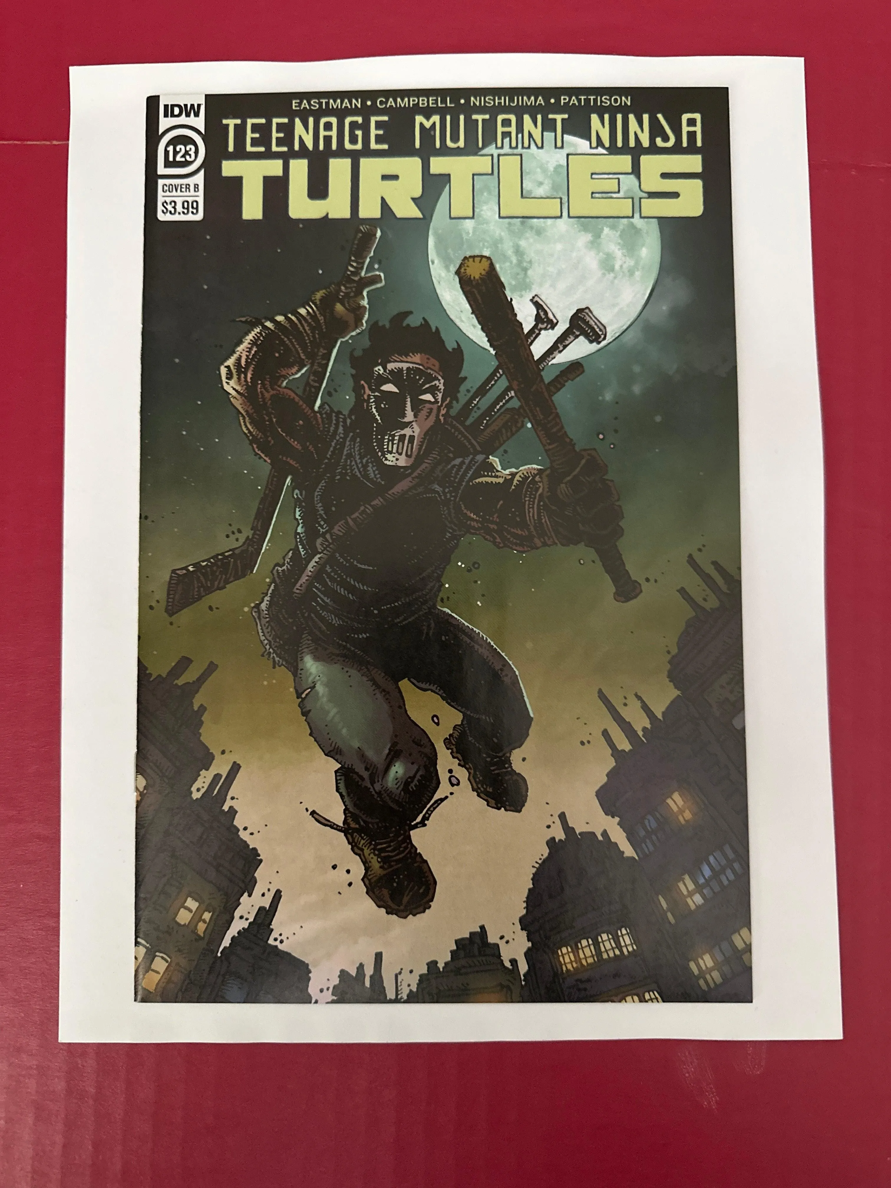 Teenage Mutant Ninja Turtles, Vol. 5 #123B (IDW Publishing 2021)