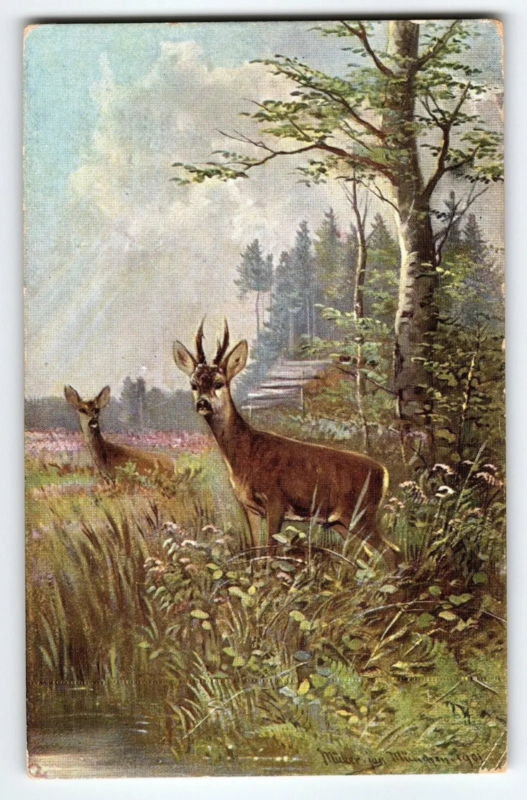 9ac104d5c698c14675d5734d2d9c3c89d59baadb Picture 0